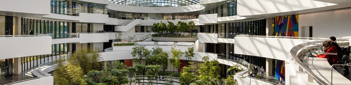 Estrutura hospitalar contemporânea